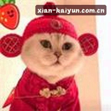 陈静